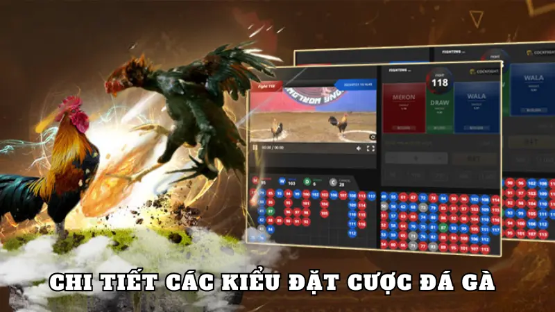 Chi tiết các kiểu đặt cược đá gà