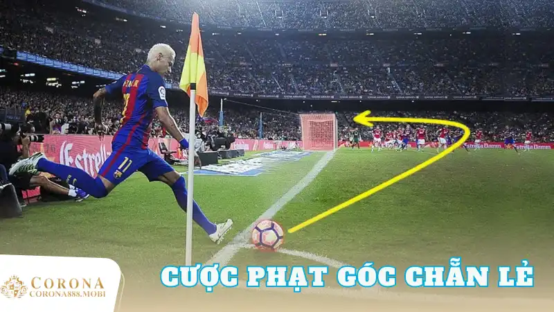 Chiến Thuật Cược Phạt Góc Chẵn Lẻ